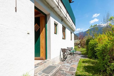 Leuk appartement in Mayrhofen met een tuin