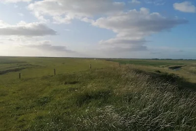 6 Personen Ferienhaus in Grenaa