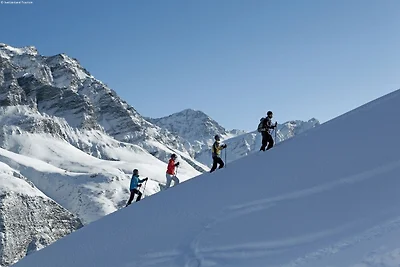 Holzchalet inmitten der Berge in La Tzoumaz