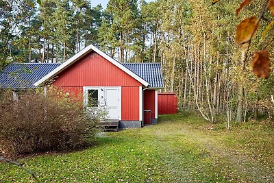 6 Personen Ferienhaus in Aakirkeby