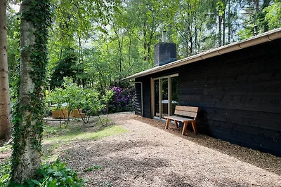 Luxuriöses Ferienhaus in Rheezerveen mit...
