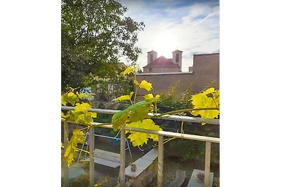 Riesling vakantieappartement