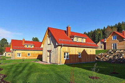 Holiday homes in the Schierke Harzresort on t...