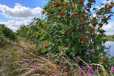 7 Personen Ferienhaus in Stege-By Traum