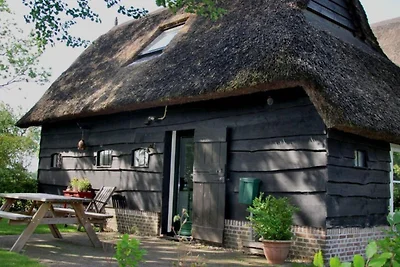 Ferienhaus in Ruinerwold mit Garten