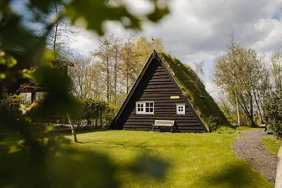 Ferienhaus in Ruinerwold mit Garten