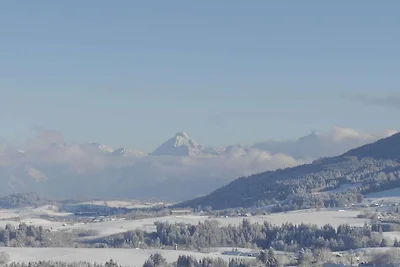 Alpenstern Finy  (xl)