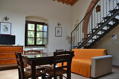 Wohnung in Campiglia Marittima
