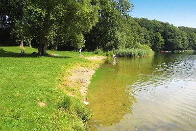 Ferienhaus mit Kaminofen am Dümmer See in...