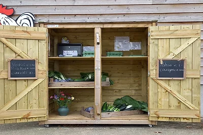 Leuke Tiny Home gelegen naast een eigen