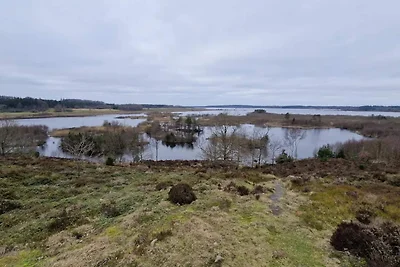6 Personen Ferienhaus in Silkeborg-By Traum