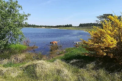 Gemutliches Strandhaus in Vejers -- By Traum...