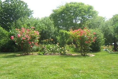 - Huis op de weide || Venningen
