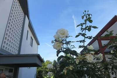 Vakantieappartement Patricia, Rijn-Ahr