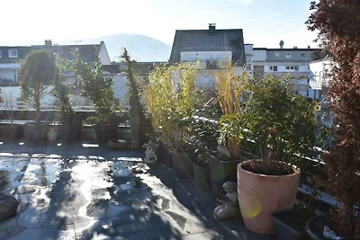 Ahrterrassen I - Penthouse
