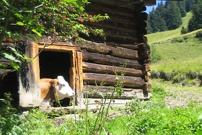 Ferienhaus Erholungsurlaub Oberstdorf