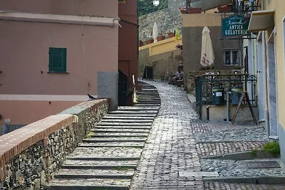 ViviBoccadasse - Tulipano 38/1 - RS