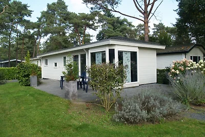 Modernes Chalet mit WLAN im grünen Achterhoek