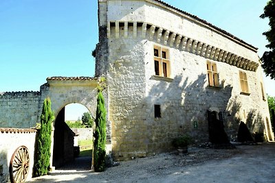 Castello con piscina e vista vicino ad Agen