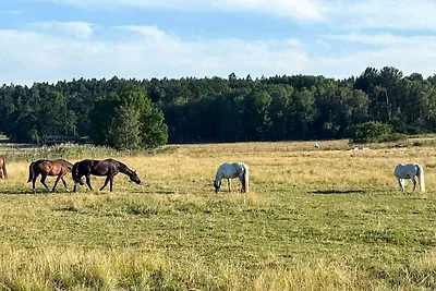 4 Personen Ferienhaus in ADELSÖ
