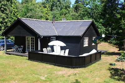 Gemütliches Ferienhaus in Nexø mit überdachte...