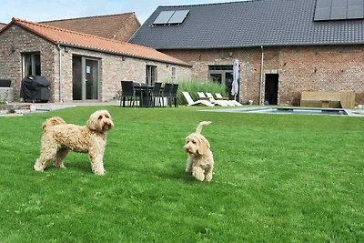 Ferienhaus in Vlaanderen f�r 3 Personen