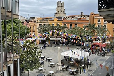 Rustiek vakantiehuis les corts del mas virrei