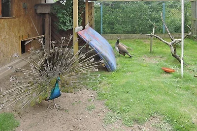 Schönes Ferienhaus mit umzäunten Garten,...