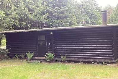 6 Personen Ferienhaus in Idestrup