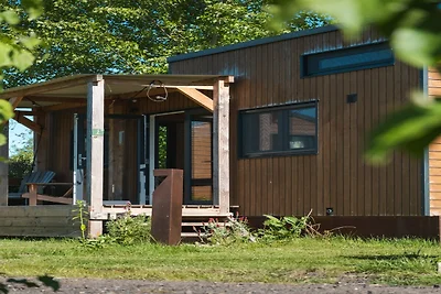 Ferienhaus in den Niederlanden für Ruhe