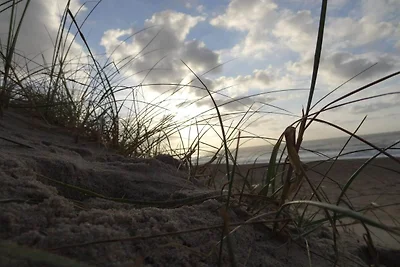 14 persone case ad Harboøre