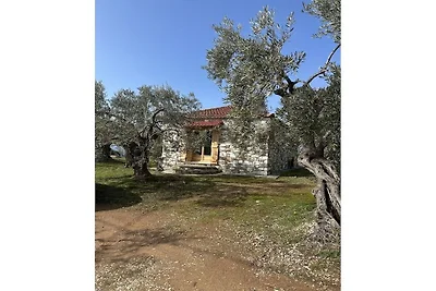koliba Odmor za igrače golfa 