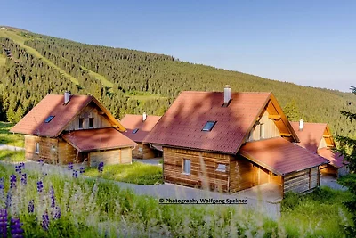Chalet in de Alpen met Sauna