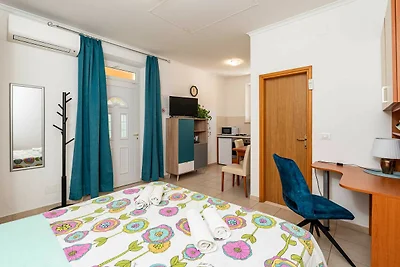 Apartments and Room Frane- Standard Studio wi...