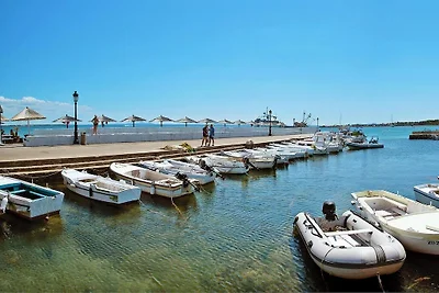Appartamento Marino, Vir