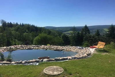 Ferienhaus mit 1 Schlafzimmer