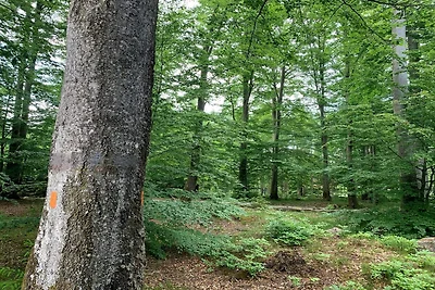 Charmantes Ferienhaus am Seeufer