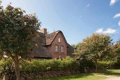 Objekt 52  Objekt 52  Objekt 52 .........