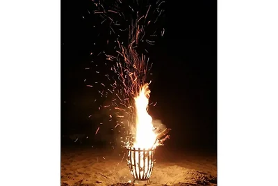 Ferienhaus in Güster mit Schwimmbecken