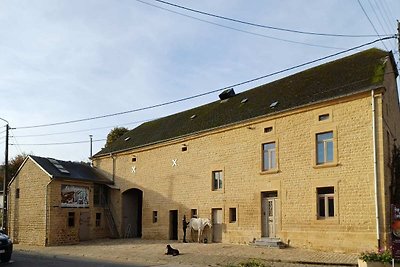 Unieke vakantiewoning in Ardennen met tuin