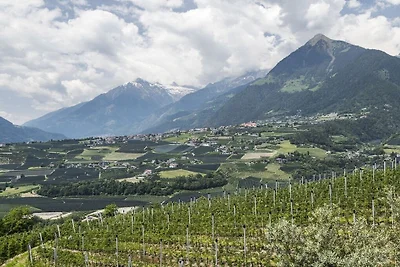 Bellavista Schenna