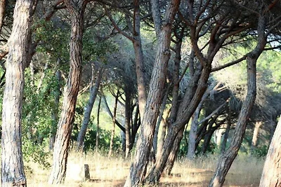 Casa vacanze Vacanza di relax Sainte Maxime