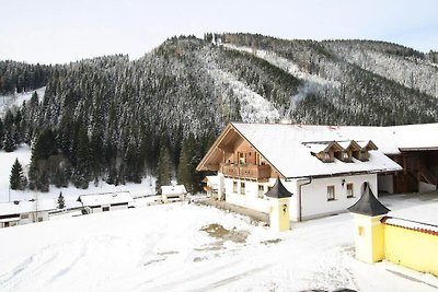 Rustikale Ferienwohnung in Filzmoos mit Sauna