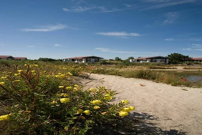 Casa vacanze indipendente situata a Texel