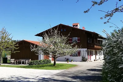 Vakantieappartement met 1 slaapkamer