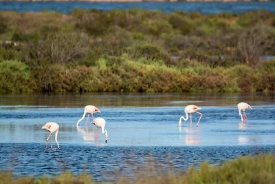 Appartamento a Hyères vicino alle spiagge e a...