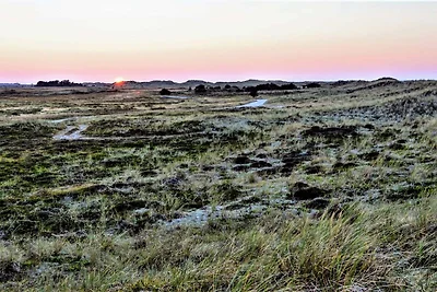 4 Personen Ferienhaus in Læsø