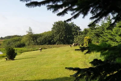 8 persoons vakantie huis in Brovst-By Traum