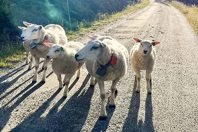 4 Personen Ferienhaus in gol