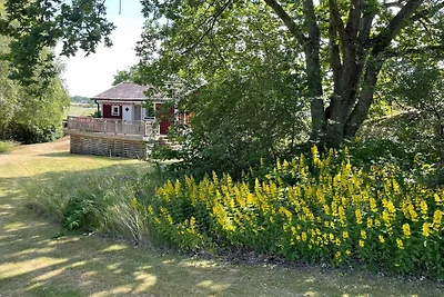 4 Personen vakantie huis in SENOREN